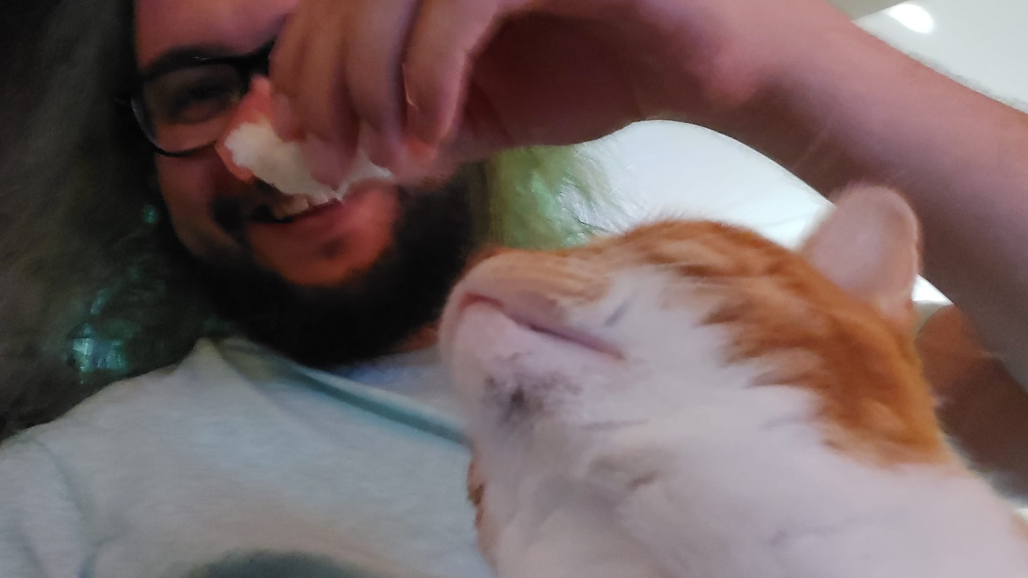 A man with green keeps a piece of sushi out of reach of the orange cat on his lap, Photo 1